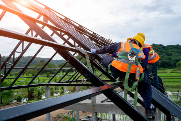 Best Roof Maintenance Services  in Gibbon, NE