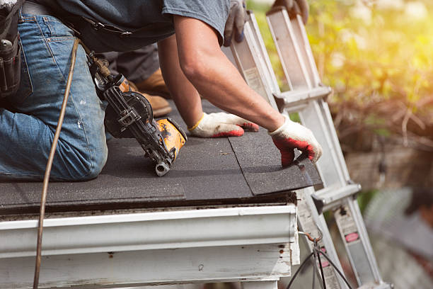 Best Roof Gutter Cleaning  in Gibbon, NE