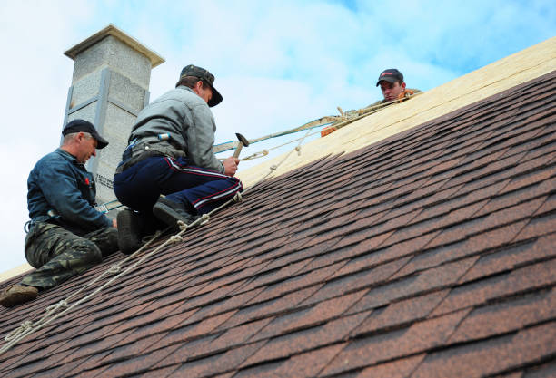 Best Flat Roof Repair Services  in Gibbon, NE